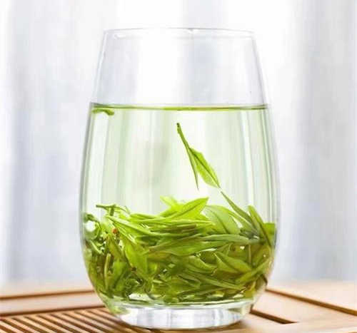 商丘柘城縣安吉白茶專賣店,柘城安吉白茶【價格、圖片、地址、聯系方式】