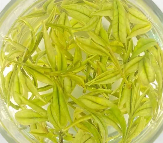 宣城市廣德安吉白茶專賣店,安徽廣德安吉白茶【價格、圖片、地址、聯(lián)系方式】