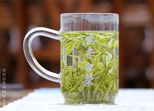 安吉白茶圖片,浙江湖州安吉白茶圖片大全