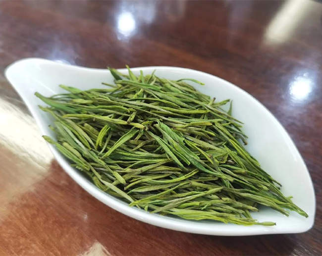 安吉白茶圖片,浙江湖州安吉白茶圖片大全