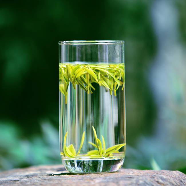 安吉白茶圖片,浙江湖州安吉白茶圖片大全