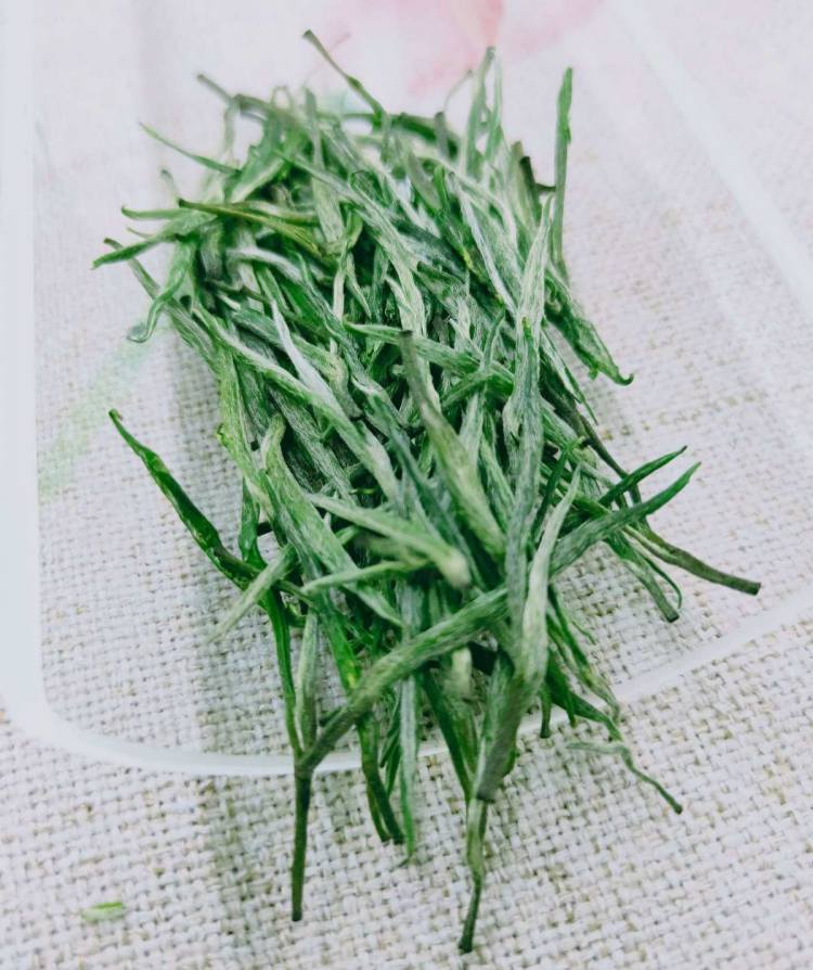 湖南安化松針簡介,安化松針茶圖片介紹