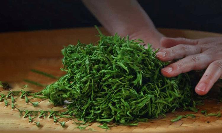 湖南安化松針簡介,安化松針茶圖片介紹