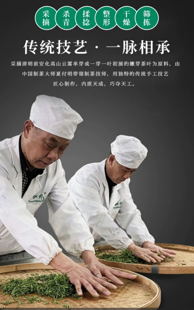 安化松針茶品牌有哪些,正宗安化松針茶價格多少錢一斤