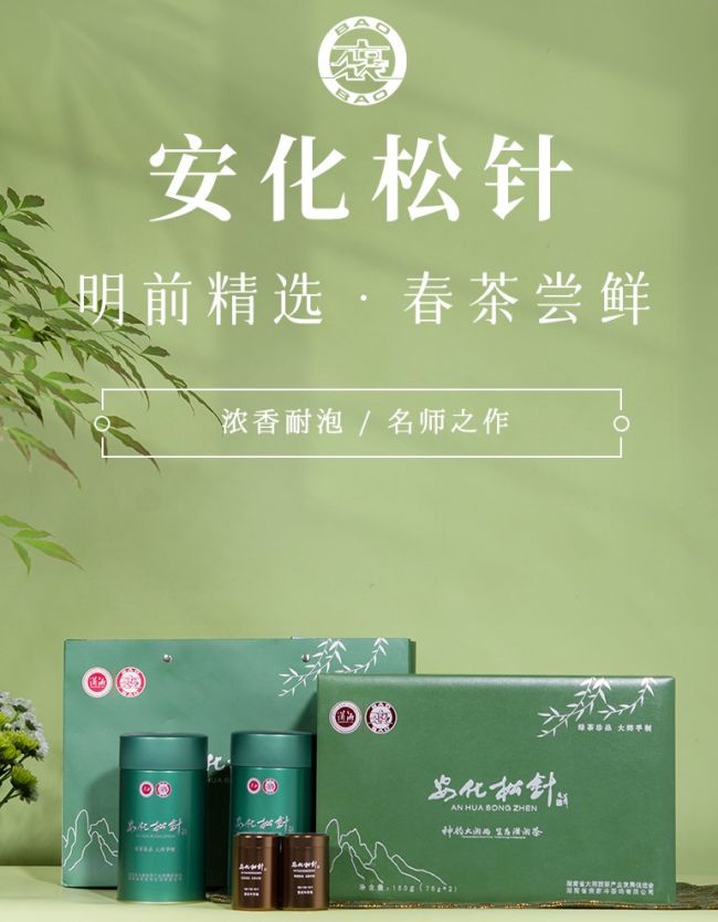 安化松針茶屬于什么茶,湖南特產安化松針茶簡介