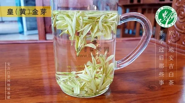 安吉白茶、安吉奶白皇金芽、黃金芽、黃金葉怎么區別
