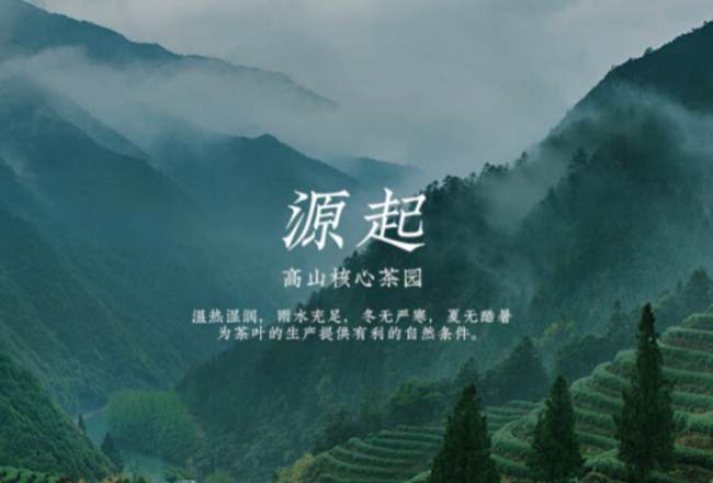 蒙頂甘露茶的生長環(huán)境怎么樣,蒙頂甘露茶核心產(chǎn)區(qū)在哪里