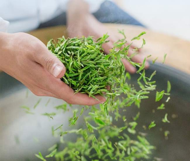 南京特產(chǎn)雨花茶,江蘇雨花茶圖片怎么樣介紹