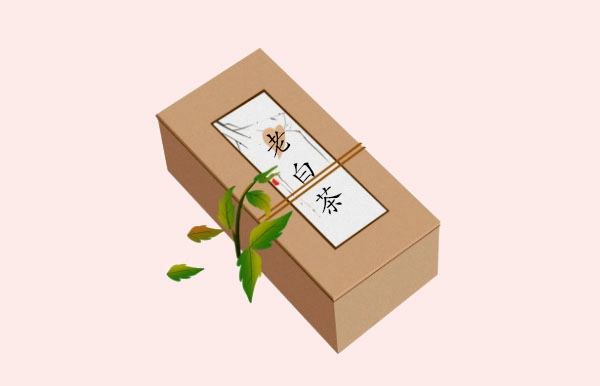 福鼎老白茶屬于什么茶,老白茶科普簡(jiǎn)介