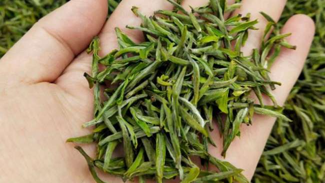 蘭溪毛峰茶品牌有哪些,正宗蘭溪毛峰茶價格多少錢一斤