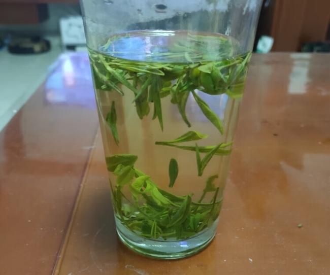 臨安特產天目青頂茶怎么樣,杭州天目云霧茶圖片簡介
