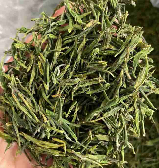 臨安特產天目青頂茶怎么樣,杭州天目云霧茶圖片簡介