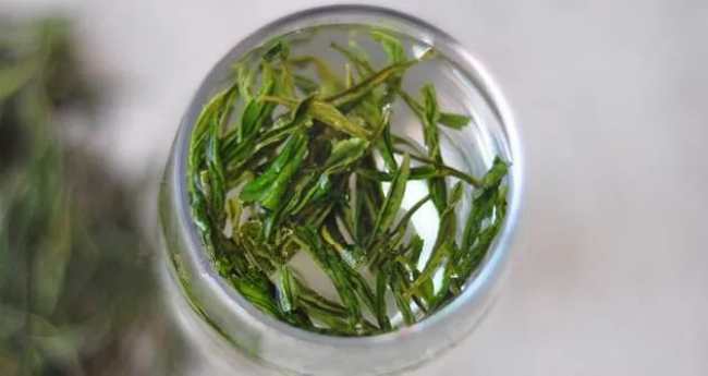 臨安特產天目青頂茶怎么樣,杭州天目云霧茶圖片簡介