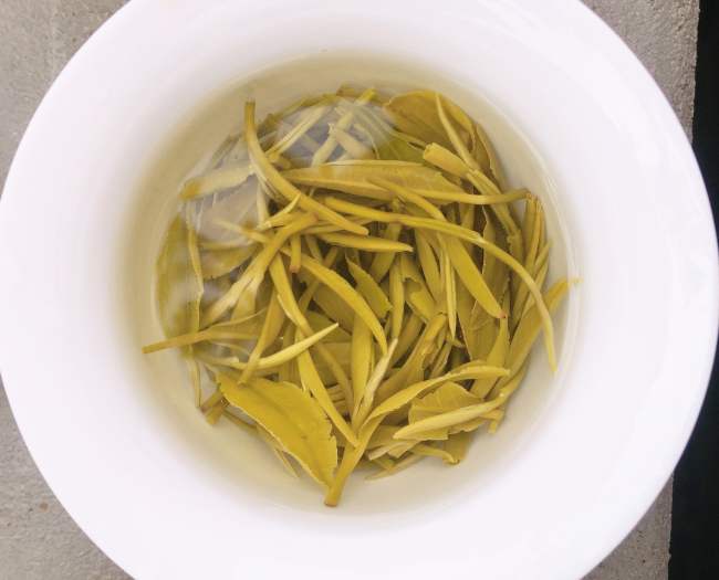 遠安黃茶儲存方法步驟,遠安黃茶怎么保存好