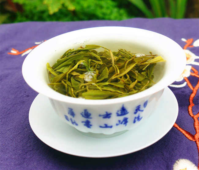 黃茶廣州大葉青怎么樣,廣州大葉青圖片簡介