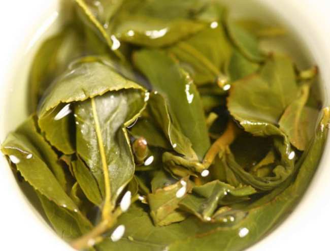 臺灣金萱烏龍茶屬于什么茶,阿里山金萱烏龍茶歷史由來簡介