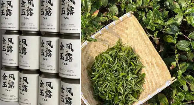 青島首屆白茶茶王賽舉行,海青茶斬獲多項大獎