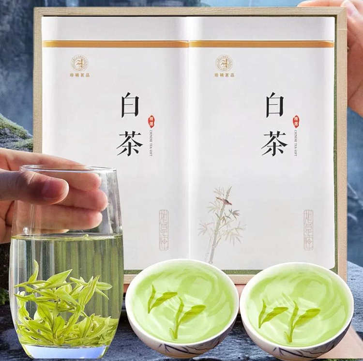 安吉白茶和福鼎白茶的區(qū)別在哪里