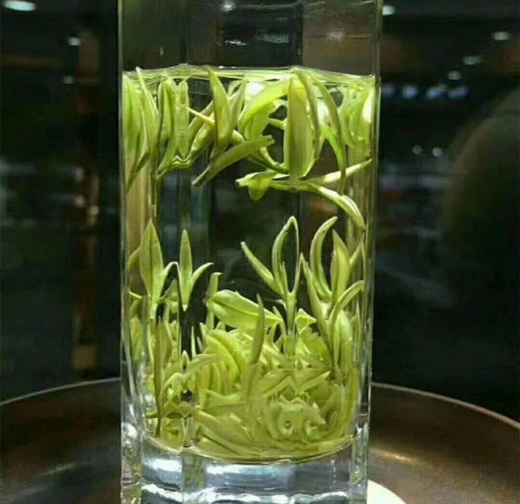 溪龍仙子安吉白茶價格多少錢一斤,溪龍仙子安吉白茶品牌