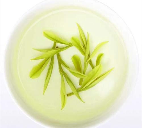 安吉白茶為什么叫白茶,安吉白茶屬于綠茶嗎?