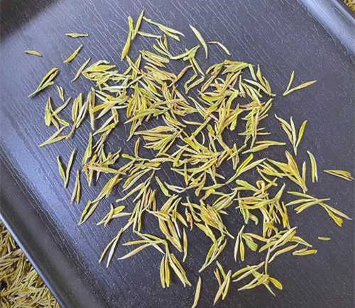 正宗安吉奶白茶多少錢一斤