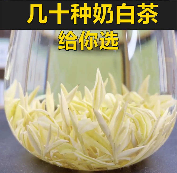 浙江安吉皇金芽的特點有哪些