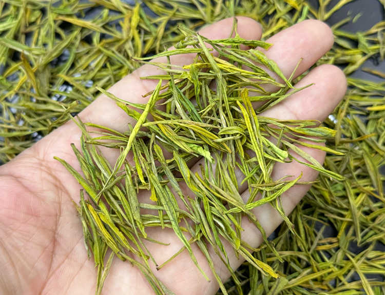 安吉白茶是沖泡還是煮著喝