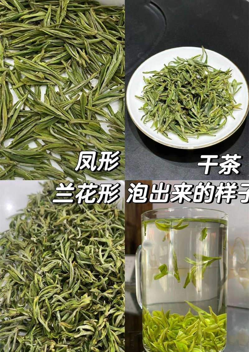 正宗安吉白茶的特點(diǎn)有哪些