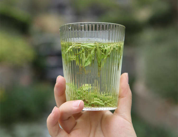 原產地安吉白茶哪里的最正宗