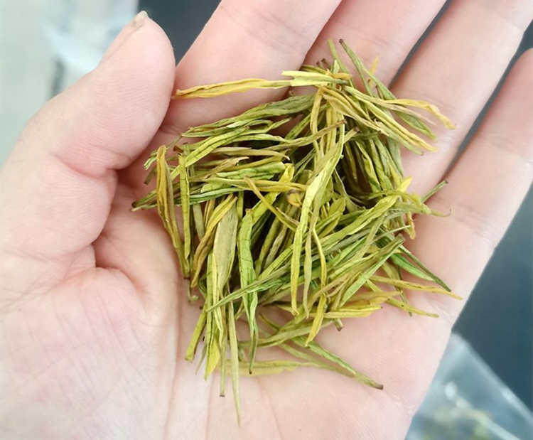 安吉奶白茶的沖泡方法分享