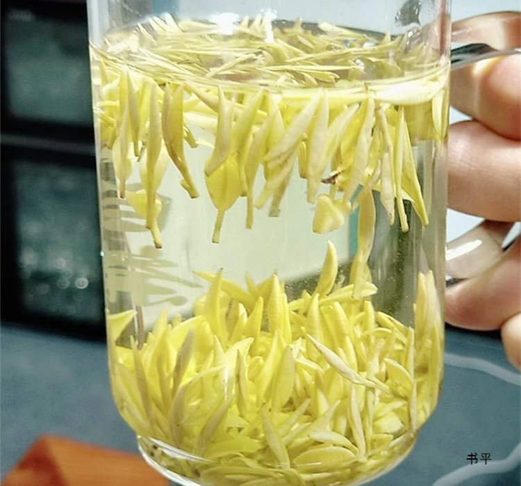 安吉皇金芽茶葉價(jià)格一般多少一斤