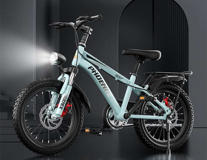 鳳凰牌兒童自行車3-6-15歲男女孩中大童山地車